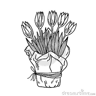 Bouquet of five tulips in craft paper on a white background. Vector Illustration